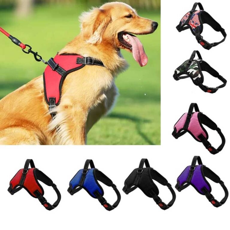 46ac81313727832e984713684dd82b1e